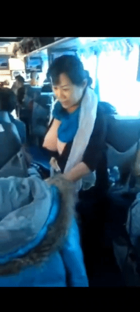 猎奇⚫️⚫️长途客车上阿姨一边露奶子一边服务乘客倒水如此服务若能来一发,老逼也是可以解渴的!